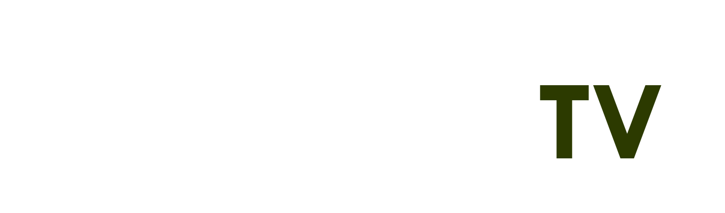 hồ phi nal